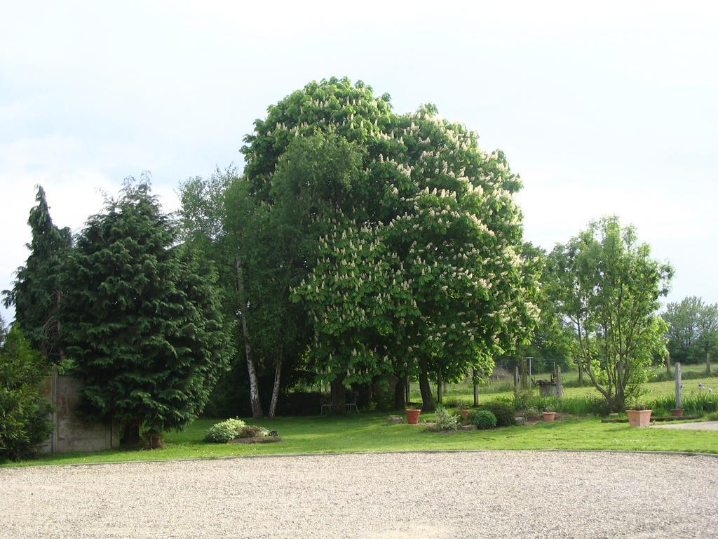 Les Malvaux Bed & Breakfast Huriel Dış mekan fotoğraf